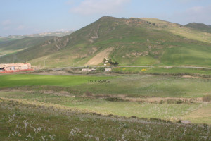 monte zai siglato